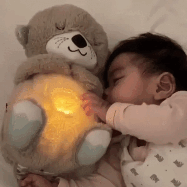 The Dreamy Otter