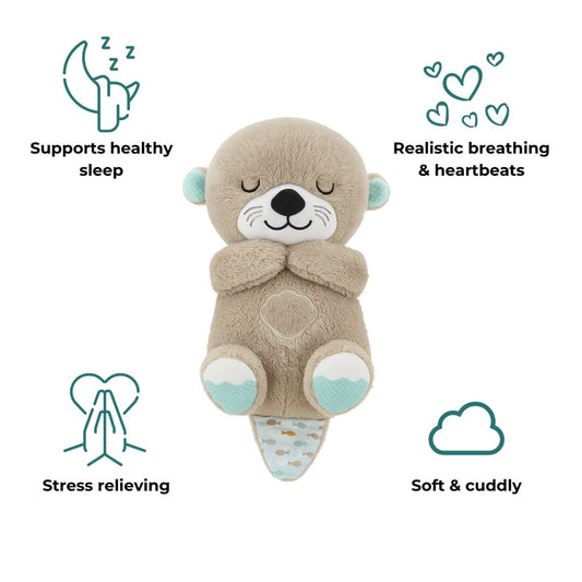 The Dreamy Otter