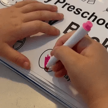 The Preschool Book
