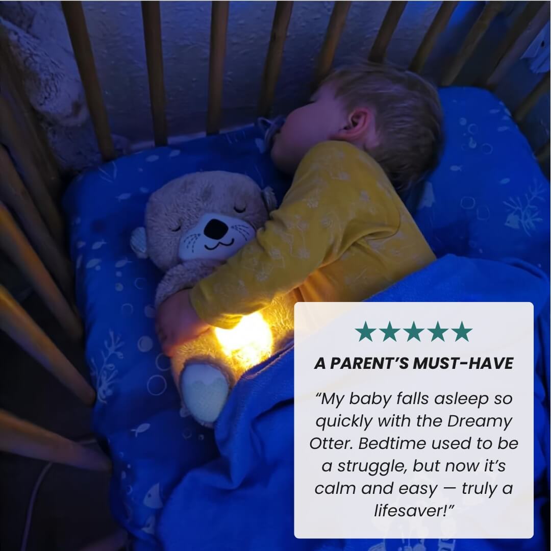 The Dreamy Otter